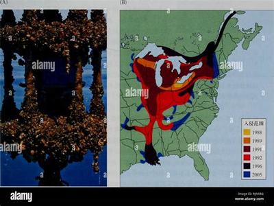《天使之戰H5》 掘金游戲市場，共贏銷售代理新機遇
