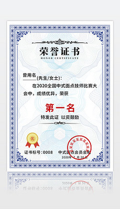 卓越銷售代理榮譽(yù)獎(jiǎng)狀